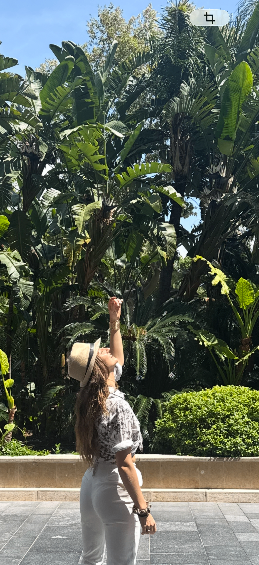 Frauke reaching upward towards tall palm leaves in bright sunlight